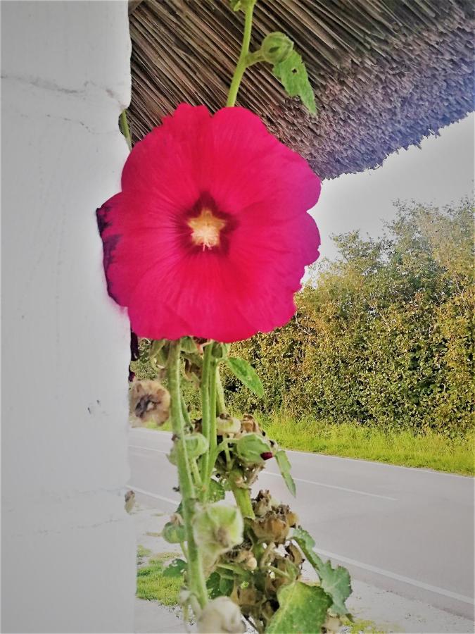 The Whispering Apple Garden Retreat Διαμέρισμα Morud Εξωτερικό φωτογραφία