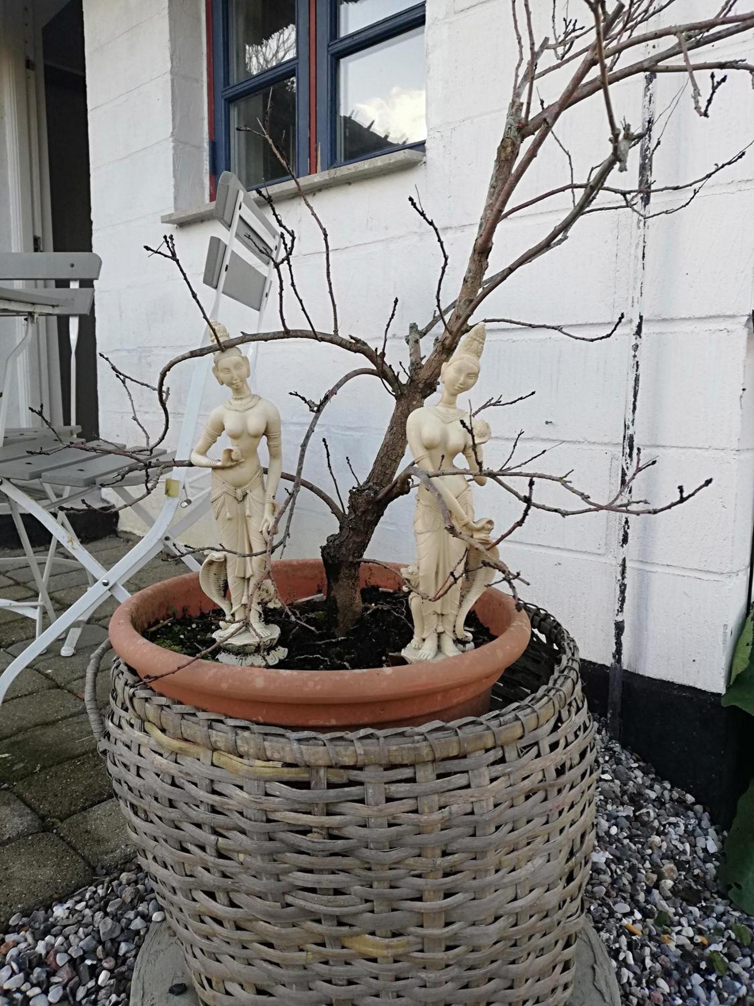 The Whispering Apple Garden Retreat Διαμέρισμα Morud Εξωτερικό φωτογραφία
